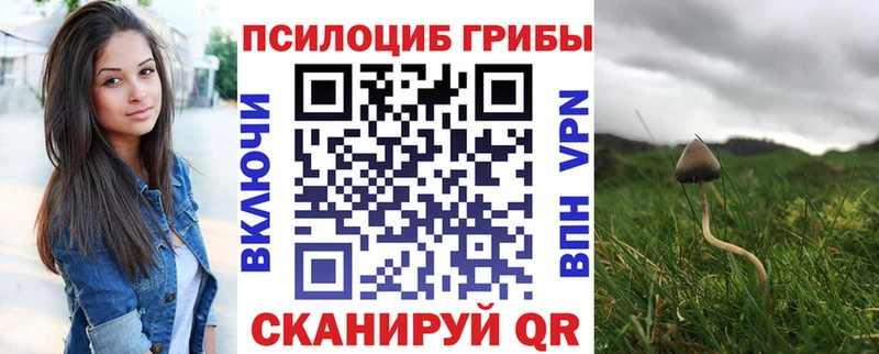 Галлюциногенные грибы GOLDEN TEACHER  Купить  Георгиевск 